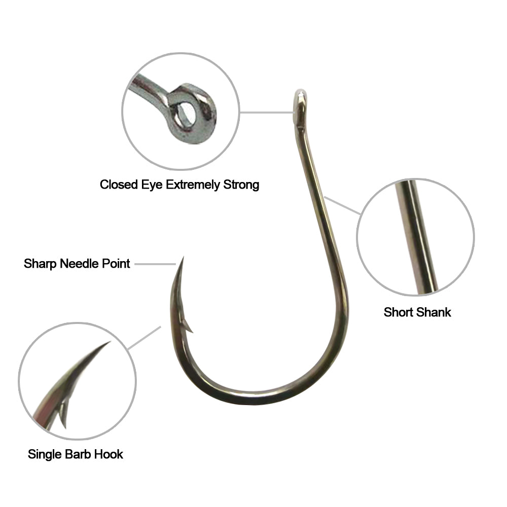 OMAXBAY High Circle Carbon Steel Fishing Hooks Set- Size Assorted